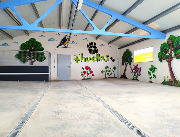 Salas de paseo para perros